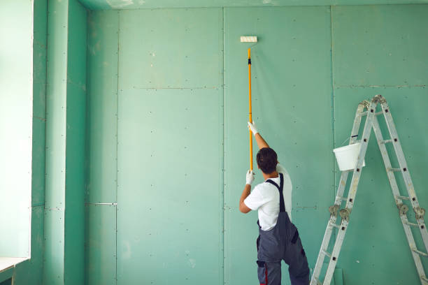 Best Attic Mold Removal  in Fletcher, NC