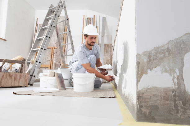 Trusted Fletcher, NC Mold Removal Experts