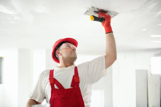 Asbestos and Lead Testing During Mold Inspection in Fletcher, NC