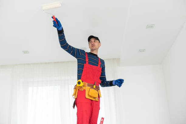 Best Mold Remediation for Healthcare Facilities  in Fletcher, NC
