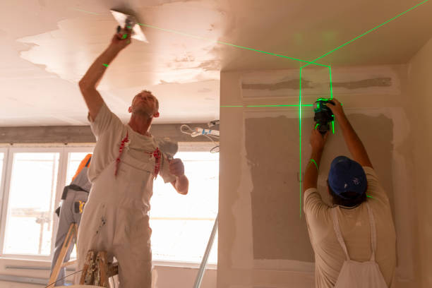 Best Attic Mold Removal  in Fletcher, NC