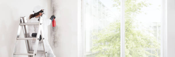 Best Industrial Mold Remediation  in Fletcher, NC