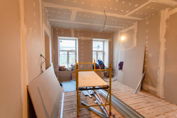 Best Comprehensive Air Testing for Mold Contaminants  in Fletcher, NC